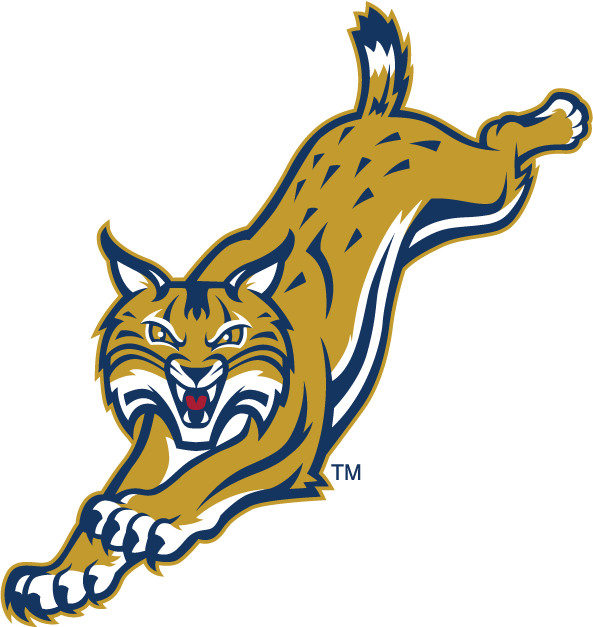 Quinnipiac Bobcats 2002-Pres Alternate Logo v6 DIY iron on transfer (heat transfer)